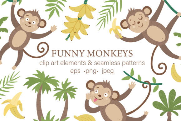Download Funny Monkeys - Monkeys Collection